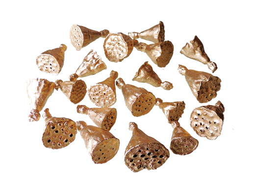 花材 大地農園・ミニハス・小・プラチナ(22420-932)