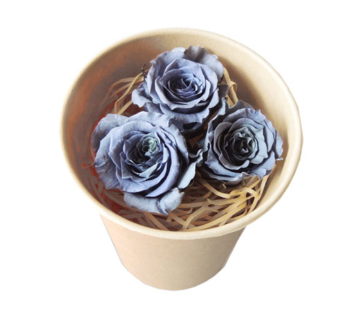 花材 Knext・100円ローズ・スモーキーブルー3輪入